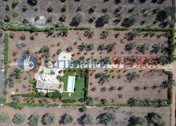 DJI_0497_risultato.jpg - Independent house San Vito dei Normanni - photo 5