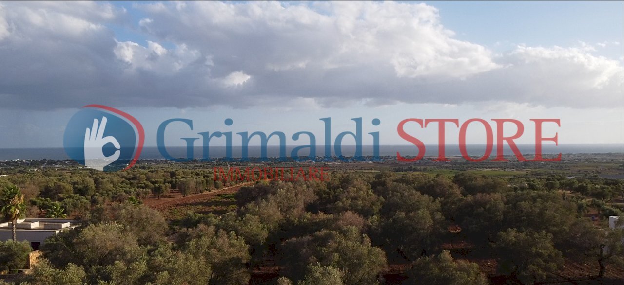 9_risultato.png - Agricultural land Manduria - photo 1