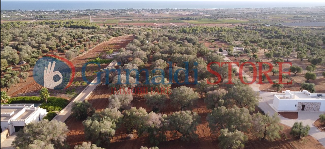 1_risultato.png - Agricultural land Manduria - photo 2