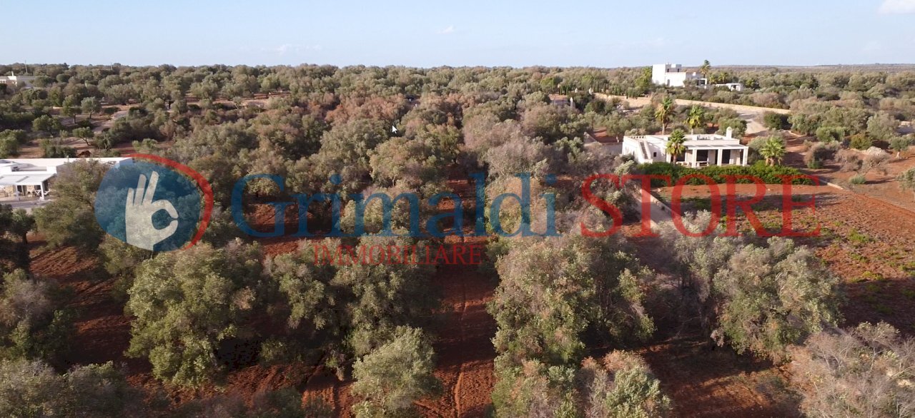 2_risultato.png - Agricultural land Manduria - photo 3