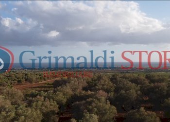 9_risultato.png - Terreno agricolo Manduria - foto 1