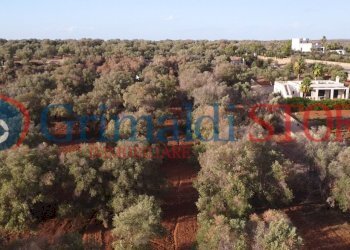 2_risultato.png - Terreno agricolo Manduria - foto 3