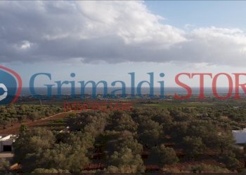 11_risultato.png - Terreno agricolo Manduria - foto 9