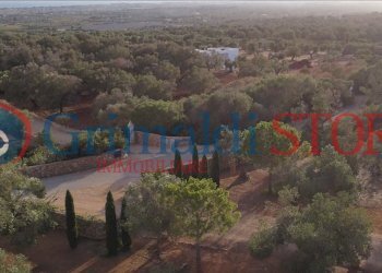 12_risultato.png - Terreno agricolo Manduria - foto 10