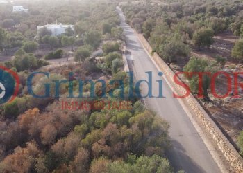 13_risultato.png - Terreno agricolo Manduria - foto 11