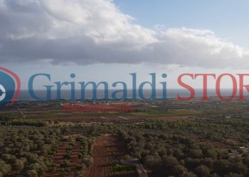 14_risultato.png - Terreno agricolo Manduria - foto 12