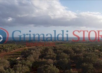 16_risultato.png - Terreno agricolo Manduria - foto 14