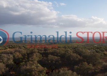 18_risultato.png - Terreno agricolo Manduria - foto 16