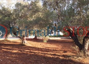 22_risultato.png - Terreno agricolo Manduria - foto 19