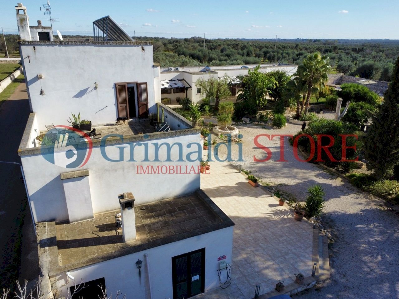 dji_fly_20241125_114948_632_1732533628924_photo_op - Independent house Francavilla Fontana - photo 3