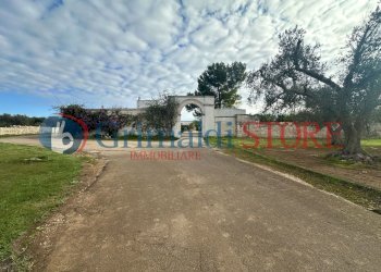 IMG_0015_risultato.jpg - Independent house Francavilla Fontana - photo 4