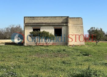 19_risultato.jpg - Rustic San Vito dei Normanni - photo 2