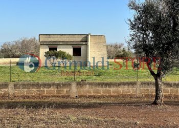 17_risultato.jpg - Rustic San Vito dei Normanni - photo 3