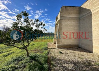 5_risultato.jpg - Rustic San Vito dei Normanni - photo 5