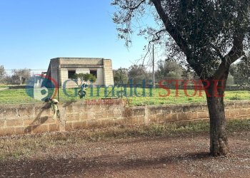 7_risultato.jpg - Rustic San Vito dei Normanni - photo 8