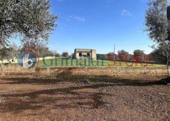 7b_risultato.jpg - Rustic San Vito dei Normanni - photo 17