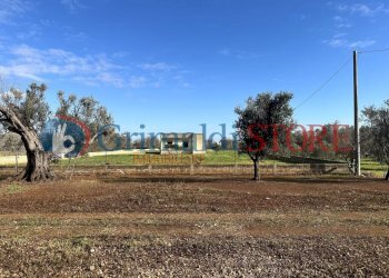 6_risultato.jpg - Rustic San Vito dei Normanni - photo 20