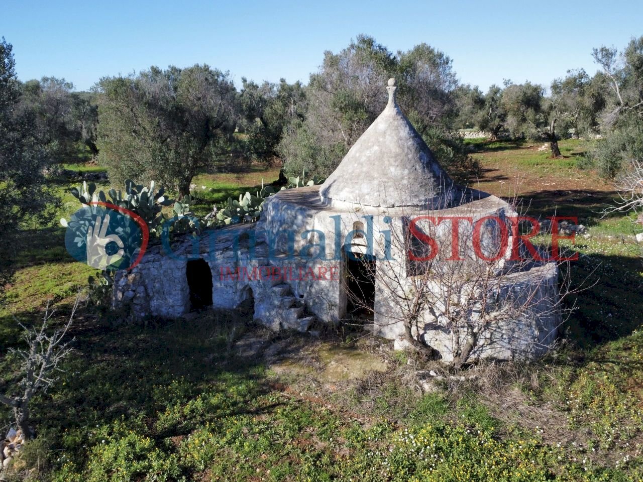 dji_fly_20241217_114534_656_1734432618554_photo_op - Independent house Carovigno - photo 2