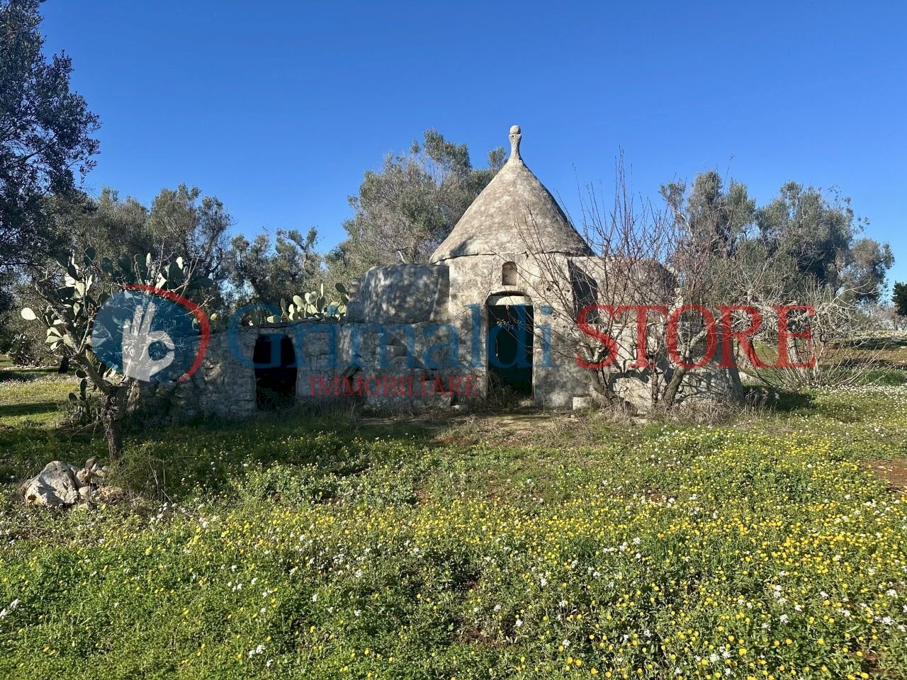 IMG_0271_risultato.jpg - Independent house Carovigno - photo 3