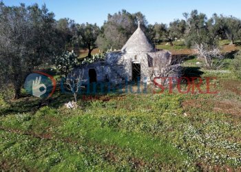 dji_fly_20241217_114506_655_1734432605262_photo_op - Casa indipendente Carovigno - foto 1