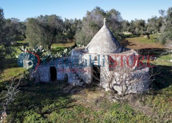 dji_fly_20241217_114534_656_1734432618554_photo_op - Casa indipendente Carovigno - foto 2