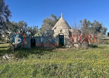 IMG_0271_risultato.jpg - Casa indipendente Carovigno - foto 3