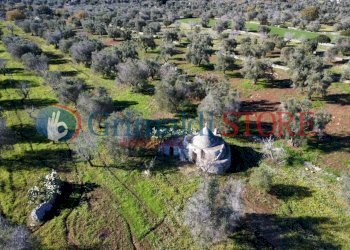 dji_fly_20241217_114340_654_1734432610179_photo_op - Casa indipendente Carovigno - foto 4