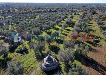 dji_fly_20241217_114916_662_1734432640206_photo_op - Casa indipendente Carovigno - foto 6