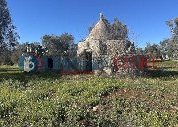 IMG_0270_risultato.jpg - Casa indipendente Carovigno - foto 7