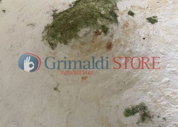 IMG_0283_risultato.jpg - Casa indipendente Carovigno - foto 13