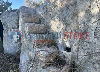 IMG_0291_risultato.jpg - Casa indipendente Carovigno - foto 18