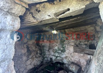 IMG_0293_risultato.jpg - Casa indipendente Carovigno - foto 20