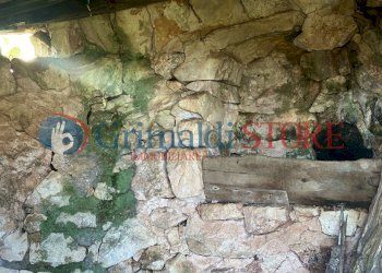 IMG_0294_risultato.jpg - Casa indipendente Carovigno - foto 21