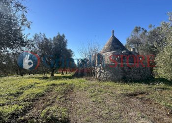 IMG_0301_risultato.jpg - Casa indipendente Carovigno - foto 24