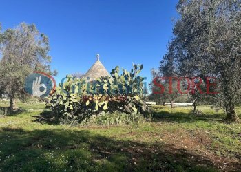 IMG_0302_risultato.jpg - Casa indipendente Carovigno - foto 25