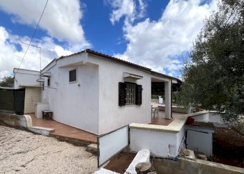 IMG_3435.jpeg - Casale Ostuni - photo 9