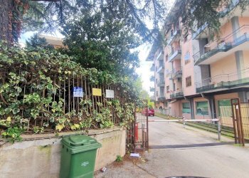 20250207_114128.jpg - Box Avellino - foto 7