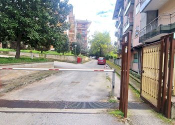 20250207_114142.jpg - Box Avellino - foto 8