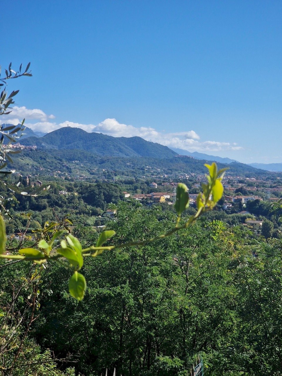 20251007_134109.jpg - Quadrilocale VIA FORTINO, Sarzana - foto 1