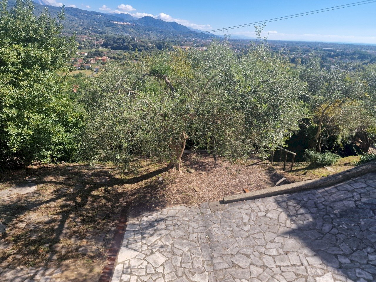 20251007_134427.jpg - Quadrilocale VIA FORTINO, Sarzana - foto 3