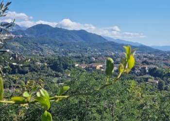 20251007_134109.jpg - Quadrilocale VIA FORTINO, Sarzana - foto 1