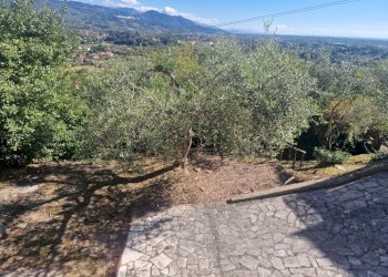 20251007_134427.jpg - Quadrilocale VIA FORTINO, Sarzana - foto 3