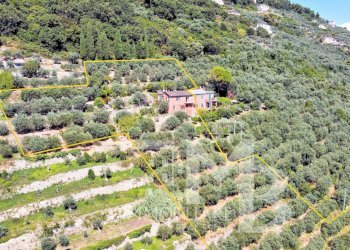 CASA E TERRENO 1.jpg - Casa semi indipendente Frazione Sant'Apollinare 3, Sori - foto 3