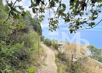 VIALETTO DI ACCESSO.jpg - Casa semi indipendente Frazione Sant'Apollinare 3, Sori - foto 18