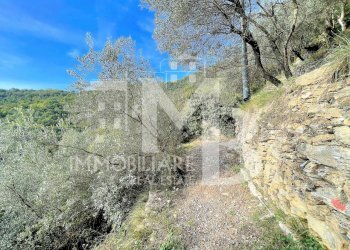 TERRENO.jpg - Rustico Via Verzemma 31, Recco - foto 6