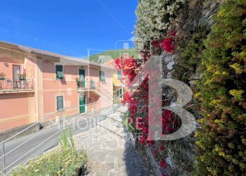 ACCESSO PEDONALE.jpg - Appartamento Strada Provinciale 333 di Uscio 56, Avegno - foto 8