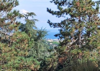 IMG-20250909-WA0043.jpg - Appartamento Via Savagna 21, Rapallo - foto 2