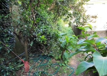 IMG-20250909-WA0097.jpg - Appartamento Via Savagna 21, Rapallo - foto 23