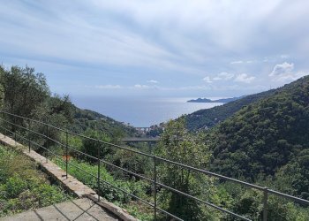 1663076063818.jpg - Independent house Zoagli - photo 2