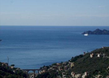 dsc02891 - Independent house Zoagli - photo 13